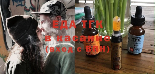индика Абинск