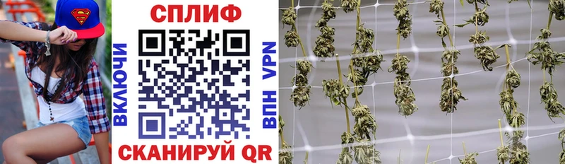 где купить Богородск Шишки марихуана сатива